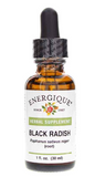 Black Radish liquid 1 oz-Herbs : 1 fl oz
